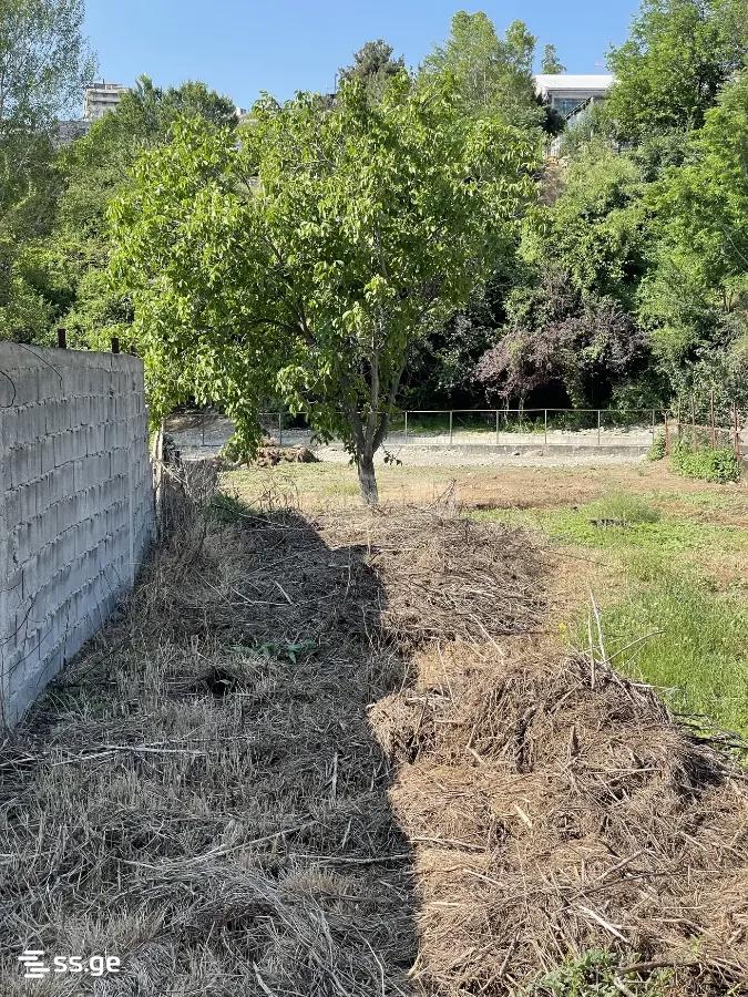 Land For Sale. Didi Digomi view 2