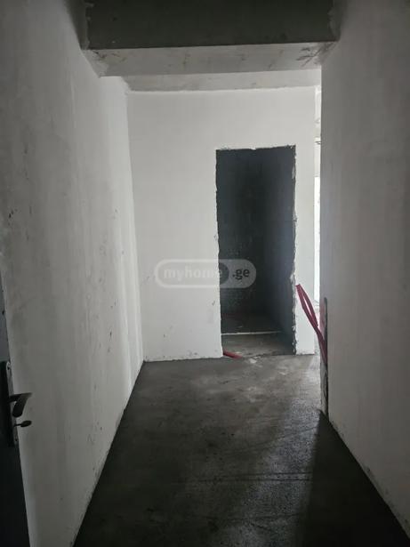 https://static.ss.ge/20260916/10_e54fb457-1ee9-46d1-bf68-b83b2e18568f_Thumb.jpg
