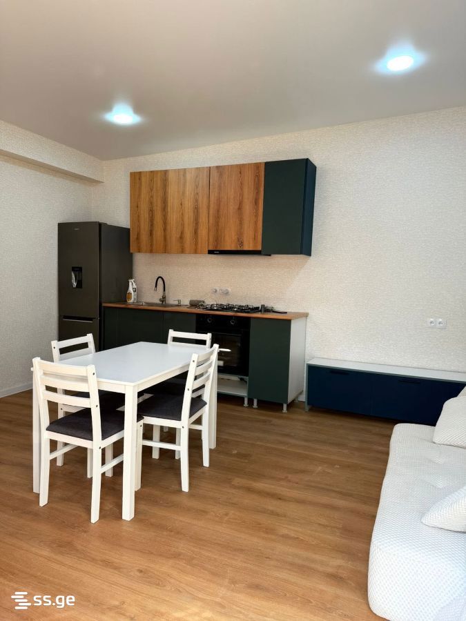 2 Room Private House For Rent. Rustavi view 2