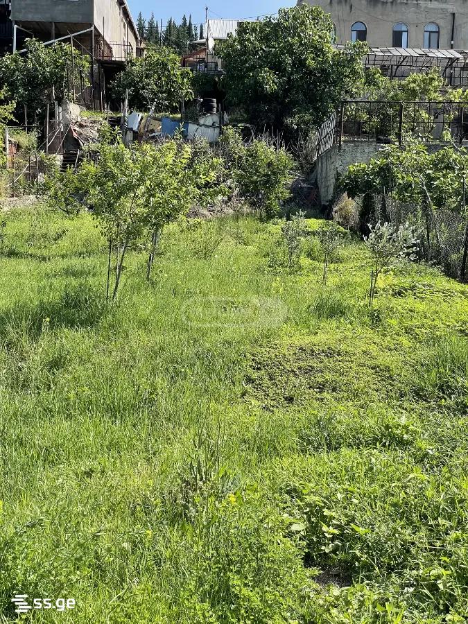 Land For Sale. Didi Digomi view 9