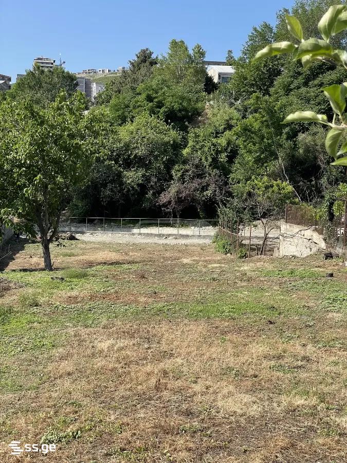 Land For Sale. Didi Digomi view 3
