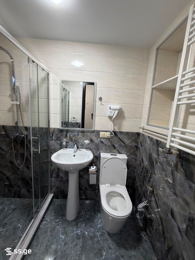1 Room Flat For Rent. Kutaisi view 7