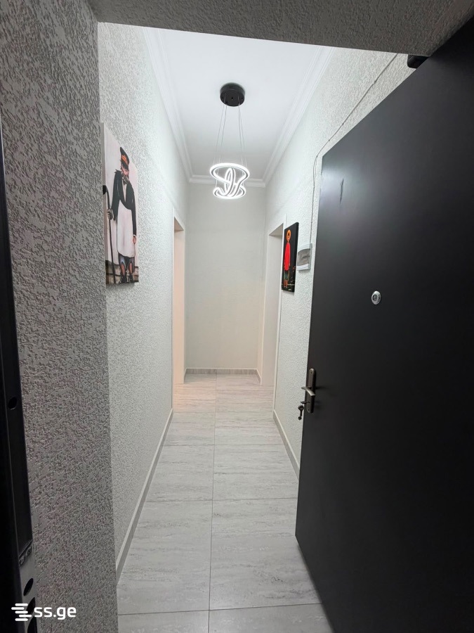1 Room Flat For Rent. Kutaisi view 8