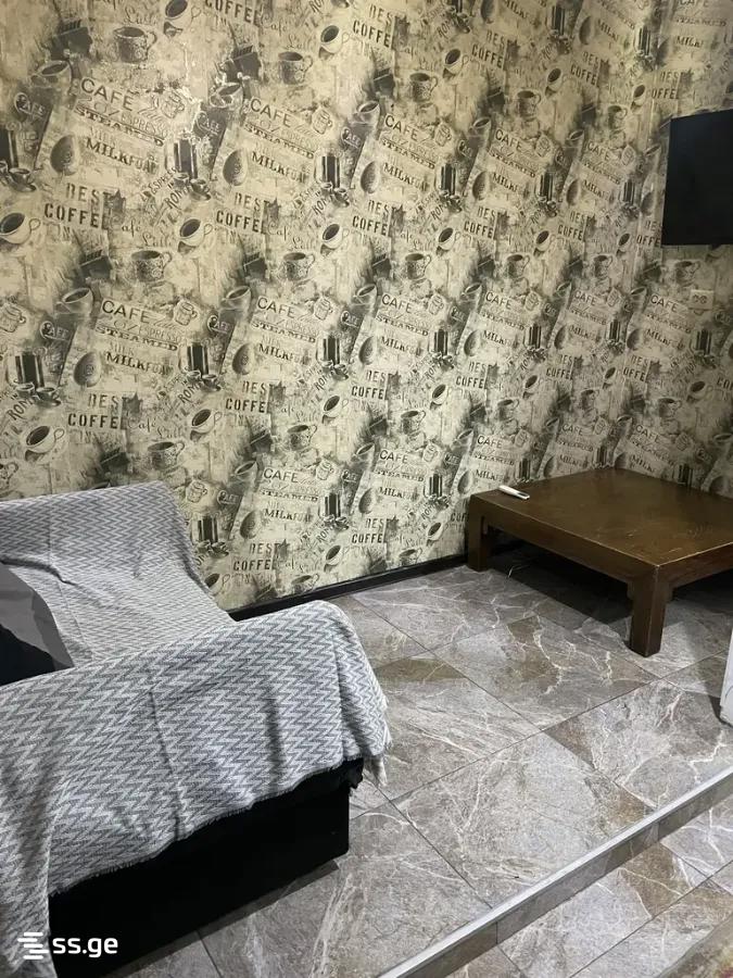 2 Room Private House For Rent. Chugureti view 2