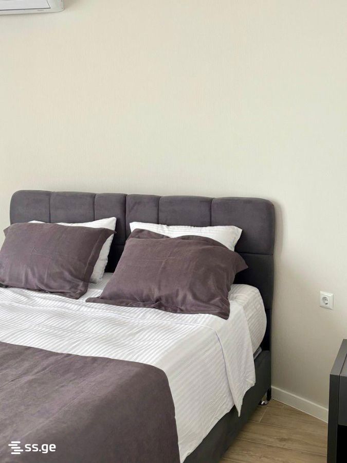Private House For Rent. Batumi view 2