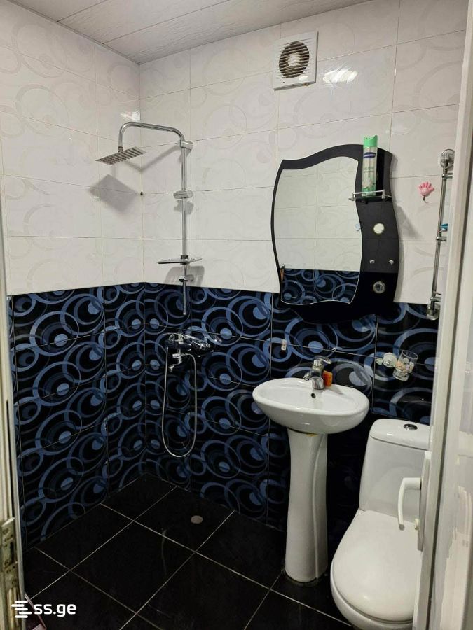 2 Room Flat For Rent. Rustavi view 10