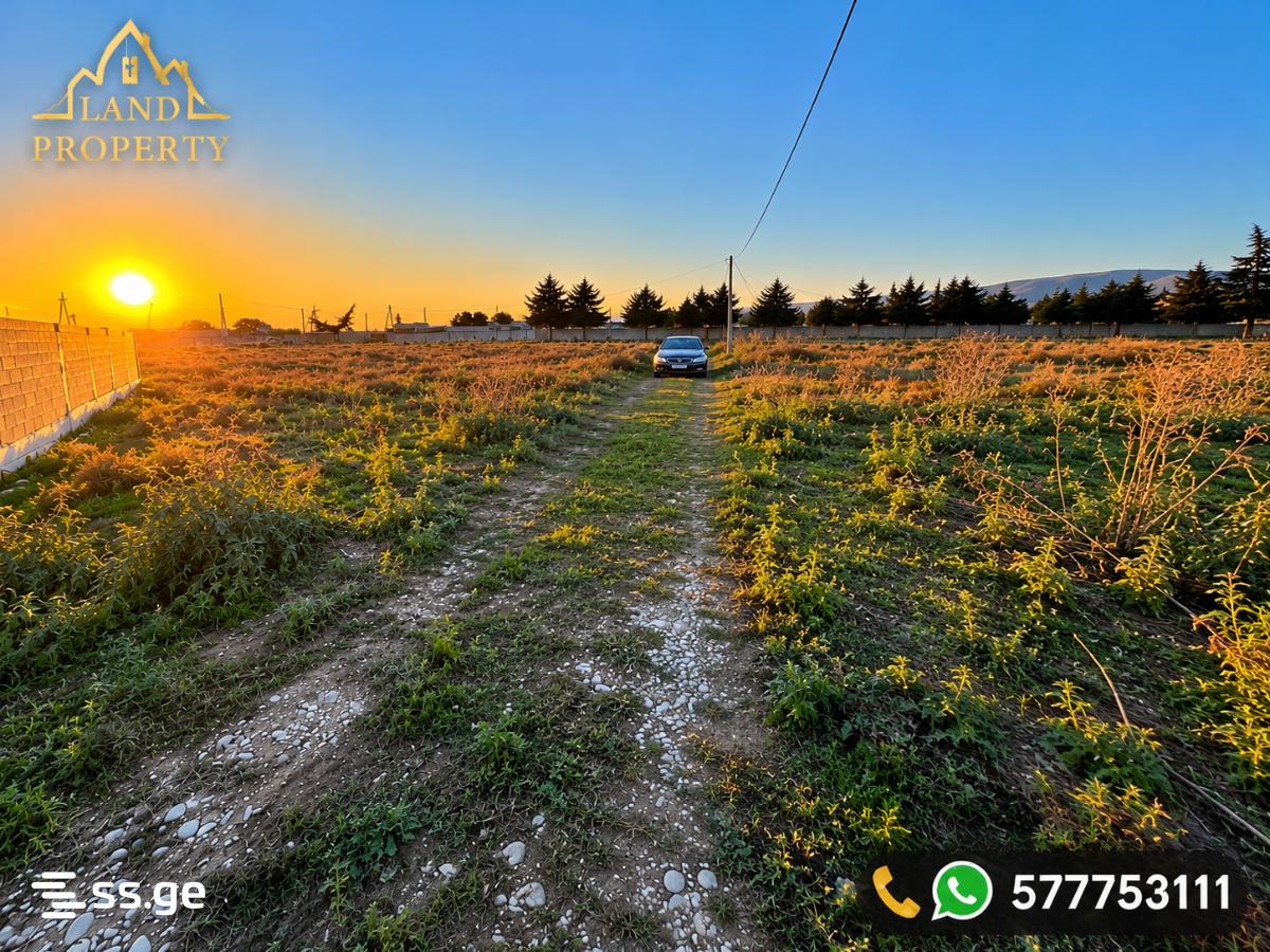 Land For Sale. Norio view 3