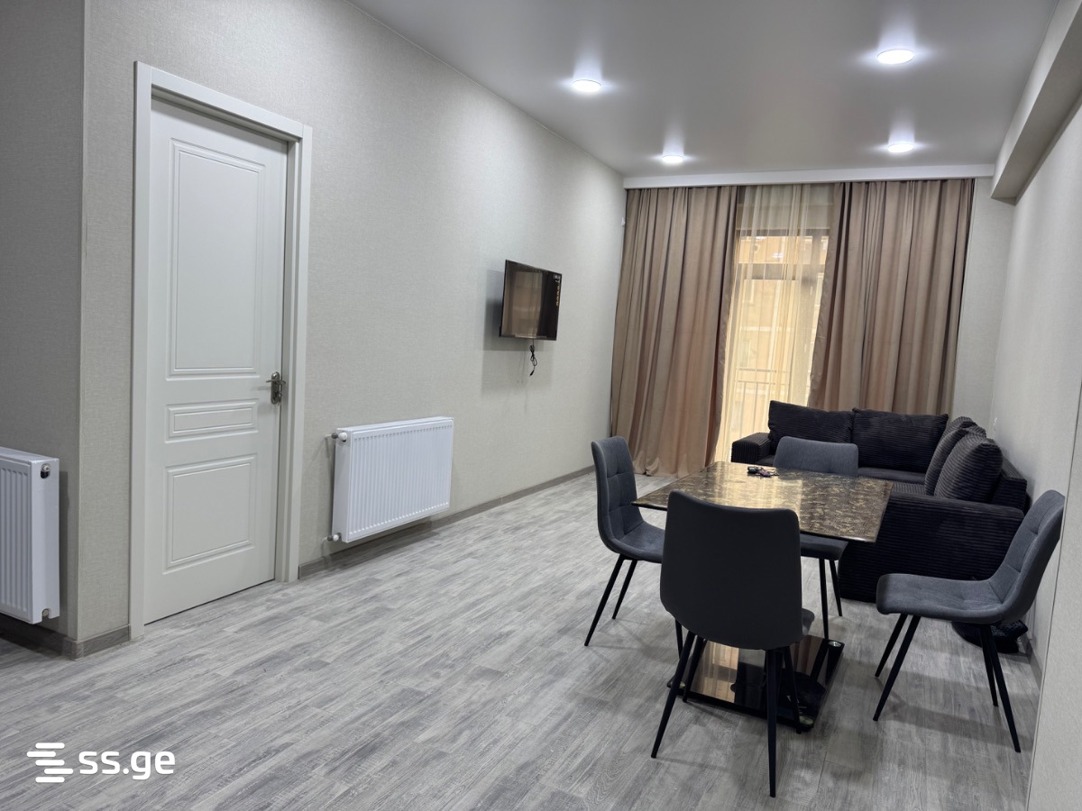 2 Room Flat For Rent. Rustavi view 9