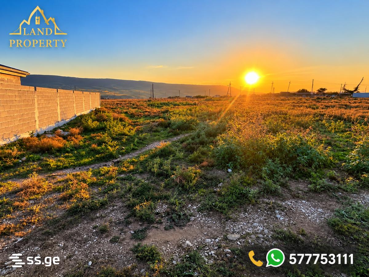 Land For Sale. Norio view 2