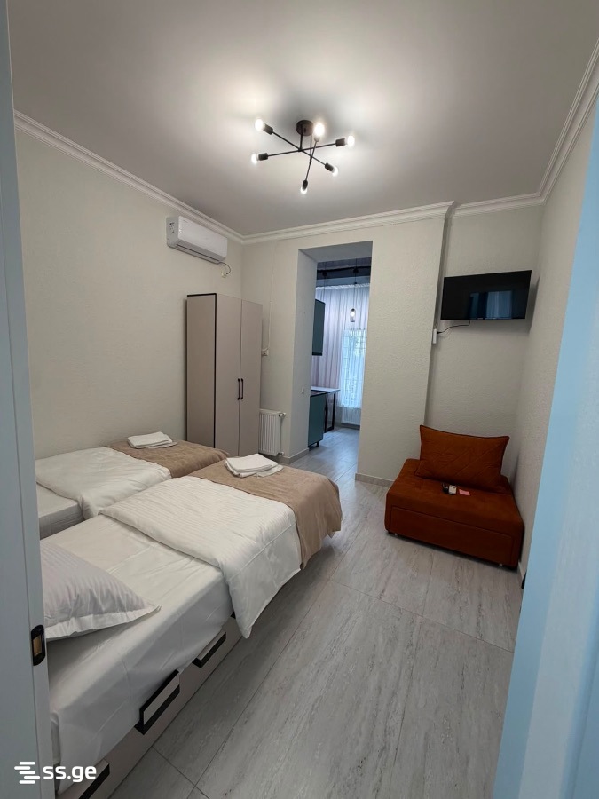 1 Room Flat For Rent. Kutaisi view 6