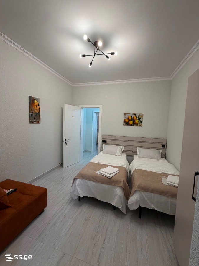 1 Room Flat For Rent. Kutaisi view 5