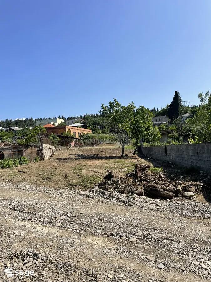Land For Sale. Didi Digomi view 12