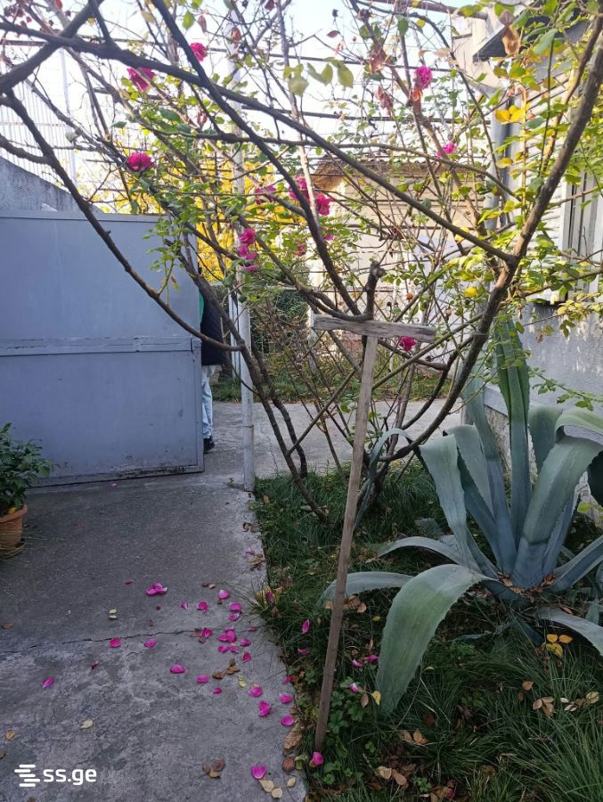 4 Room Private House For Sale view 5