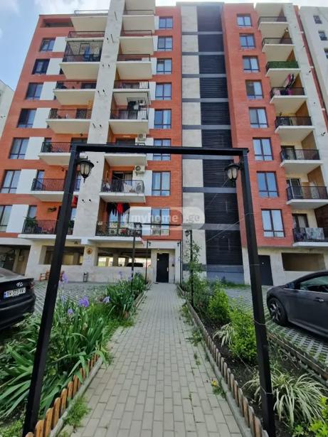 https://static.ss.ge/20260916/5_1607d652-7ed7-4916-8bdc-60310259ab97_Thumb.jpg