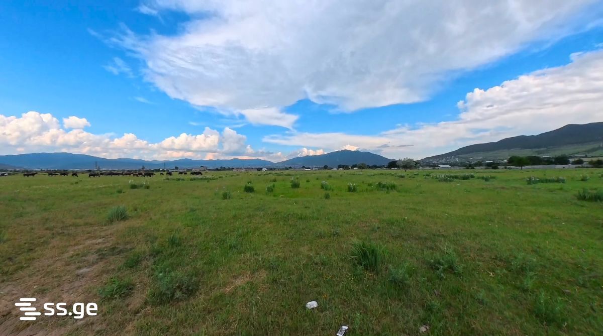 Продажа Земля в цилкани view 1