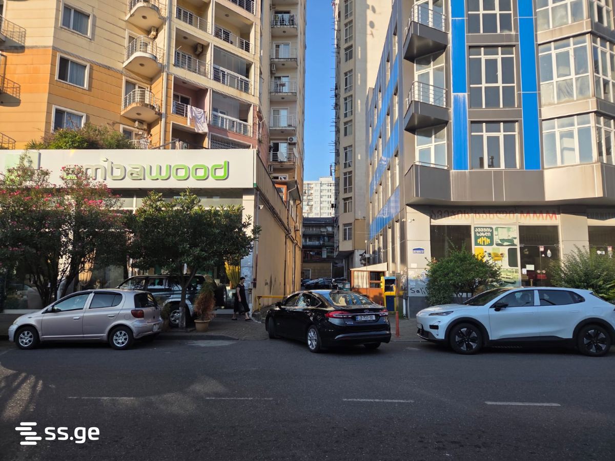 Commercial Space For Sale. Batumi view 1