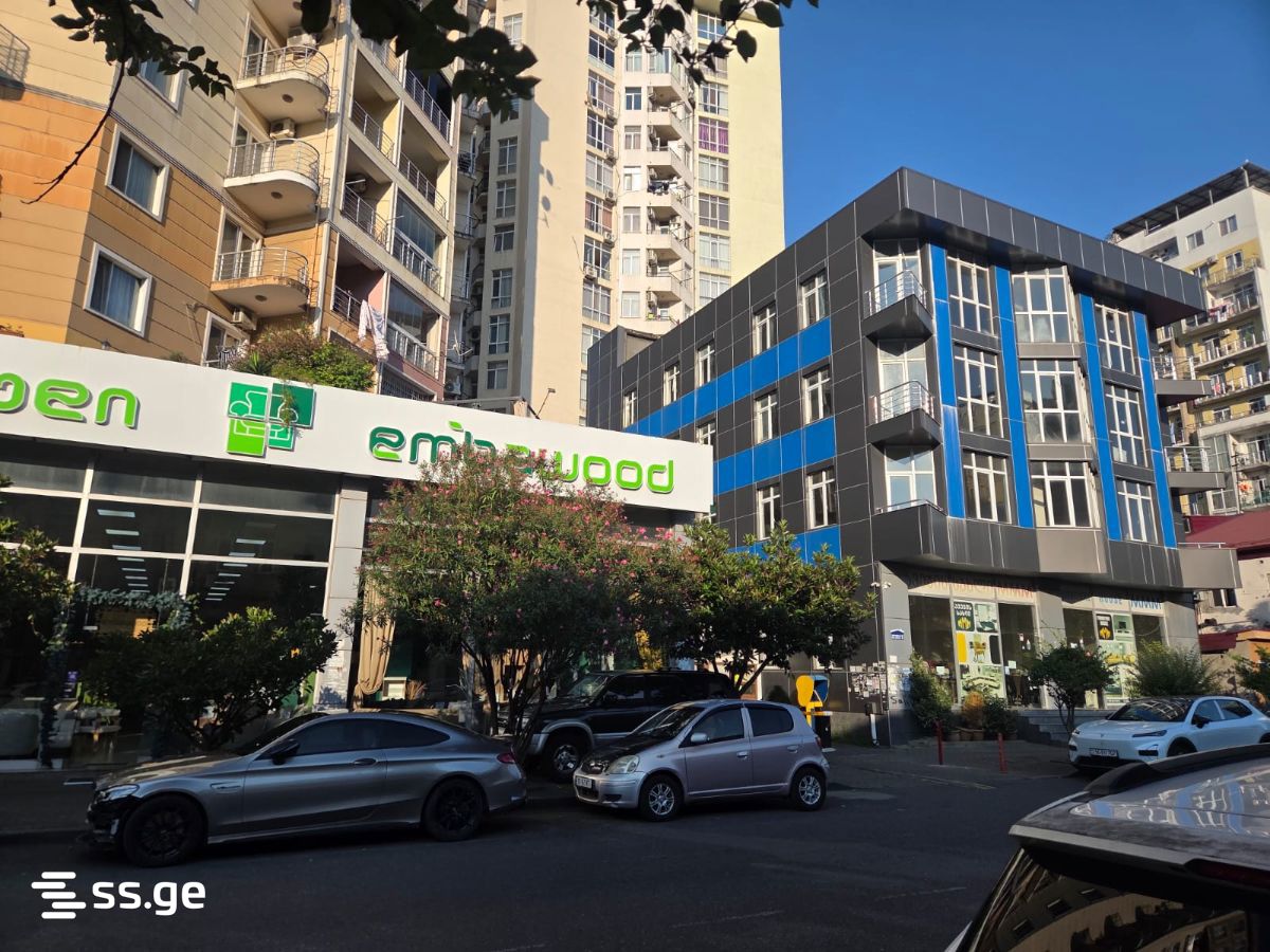 Commercial Space For Sale. Batumi view 10