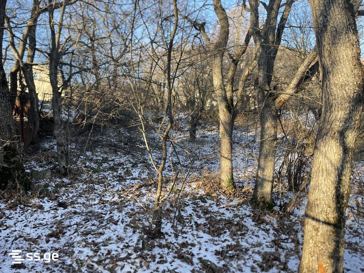 Land For Sale. Mukhattskaro view 10