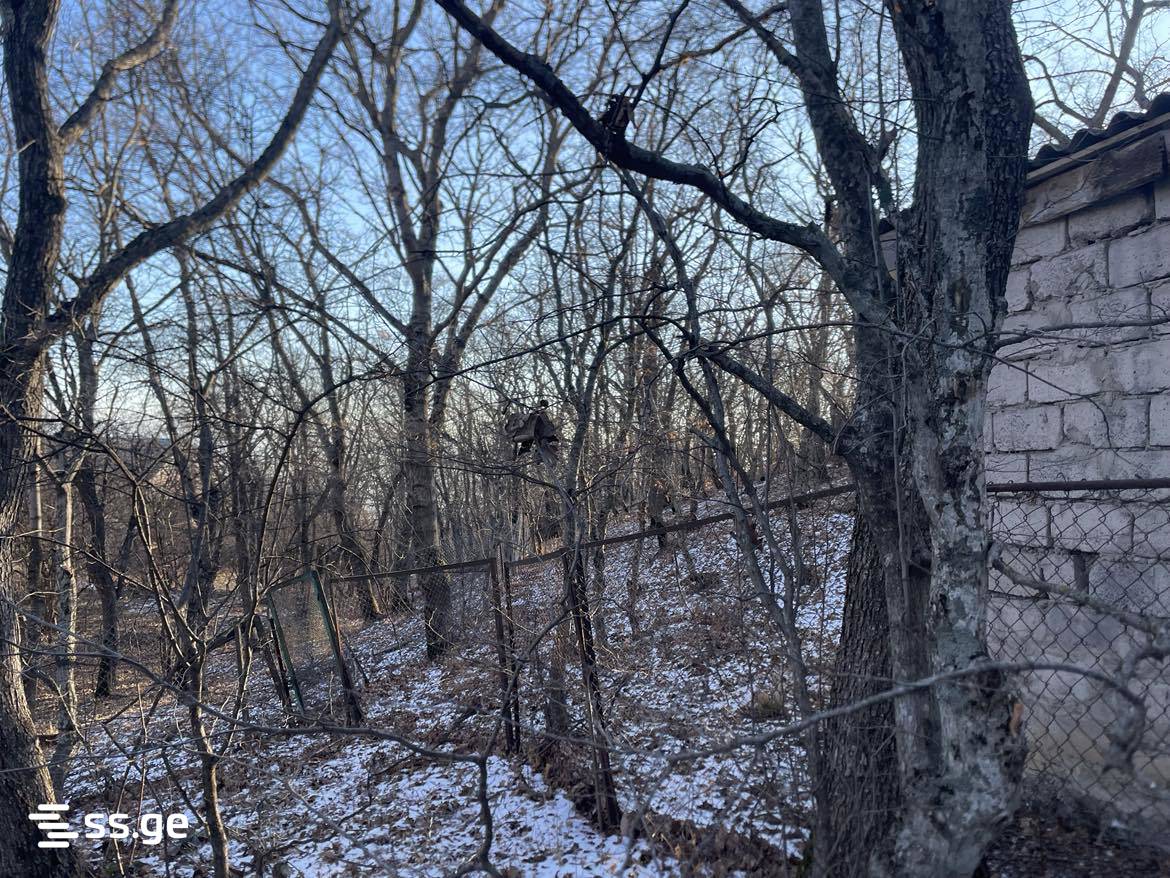 Land For Sale. Mukhattskaro view 13