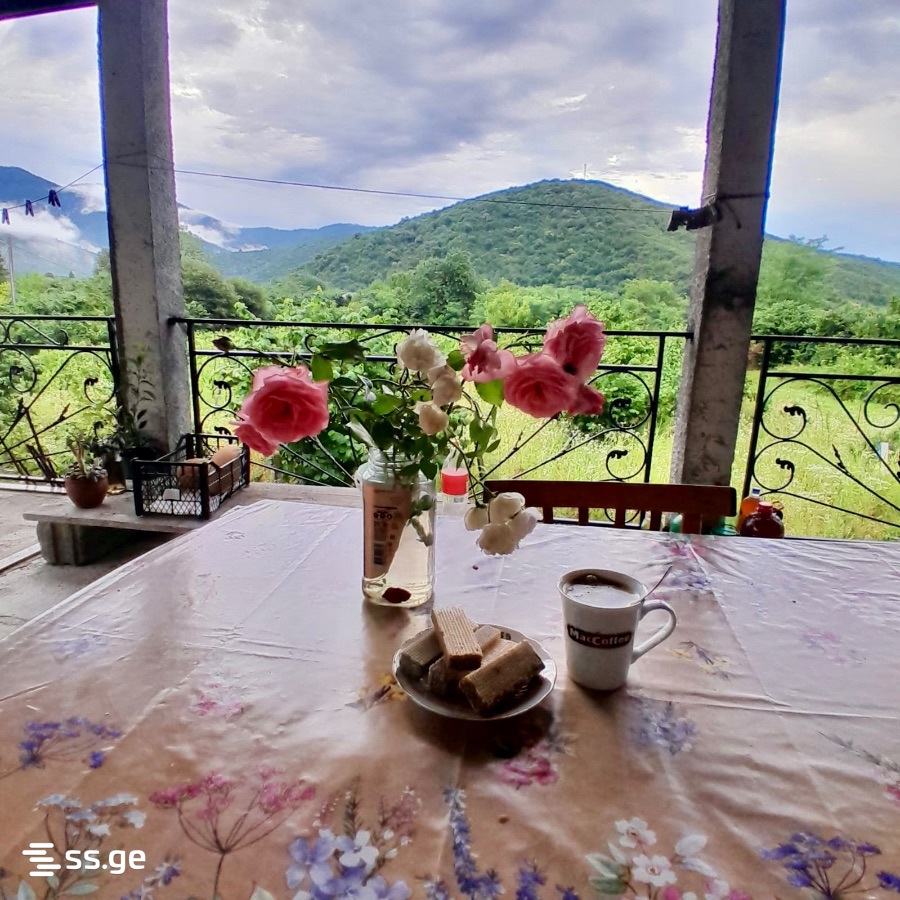 4 Room Private House For Sale view 2