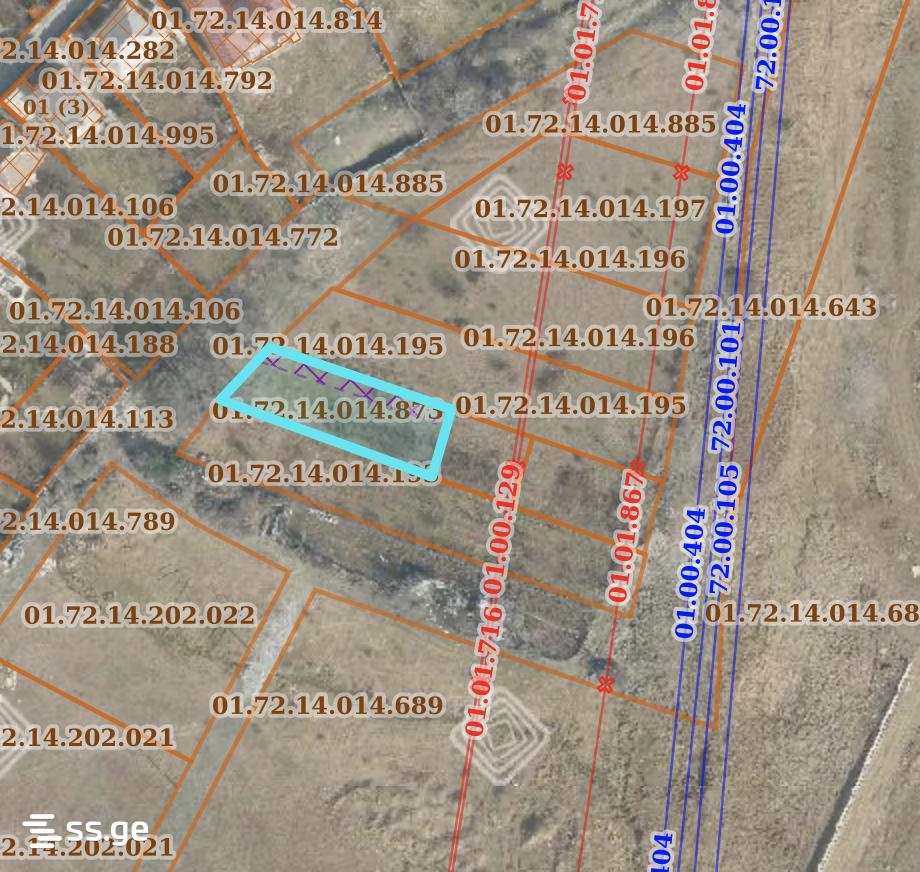 Land For Sale. Didi Digomi view 1
