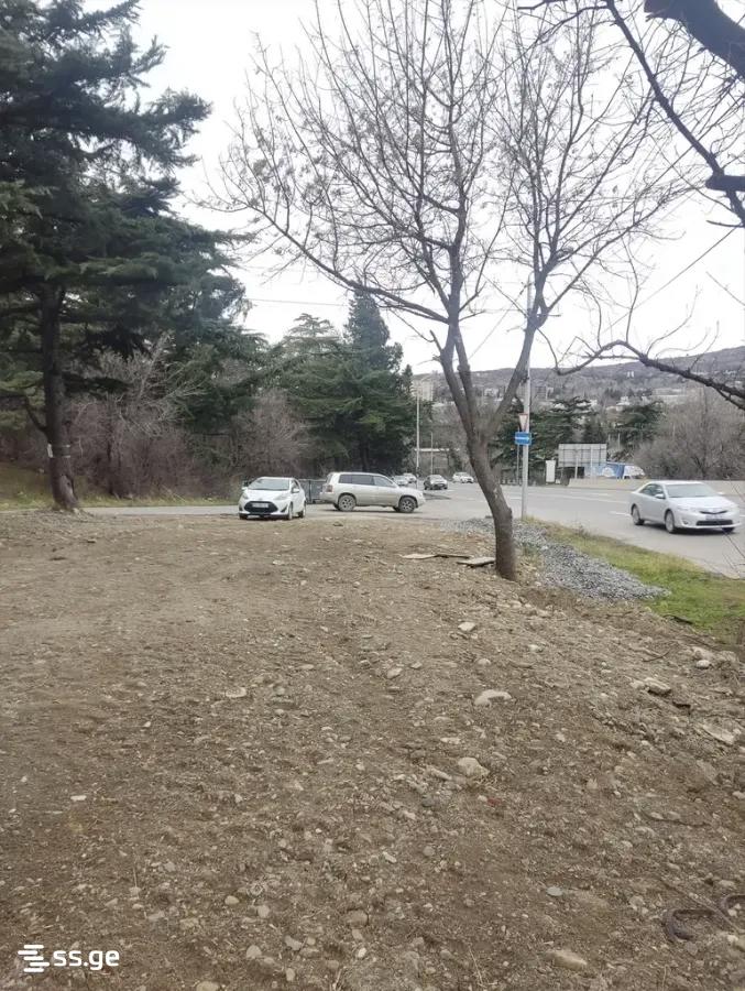 Land For Sale. Didi Digomi view 3