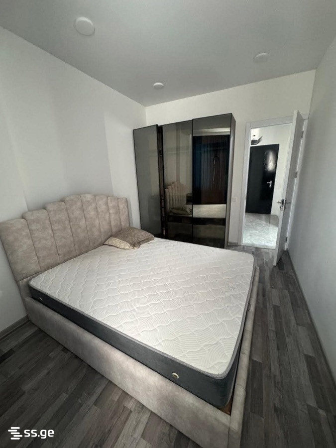 2 Room Flat For Rent. Rustavi view 6