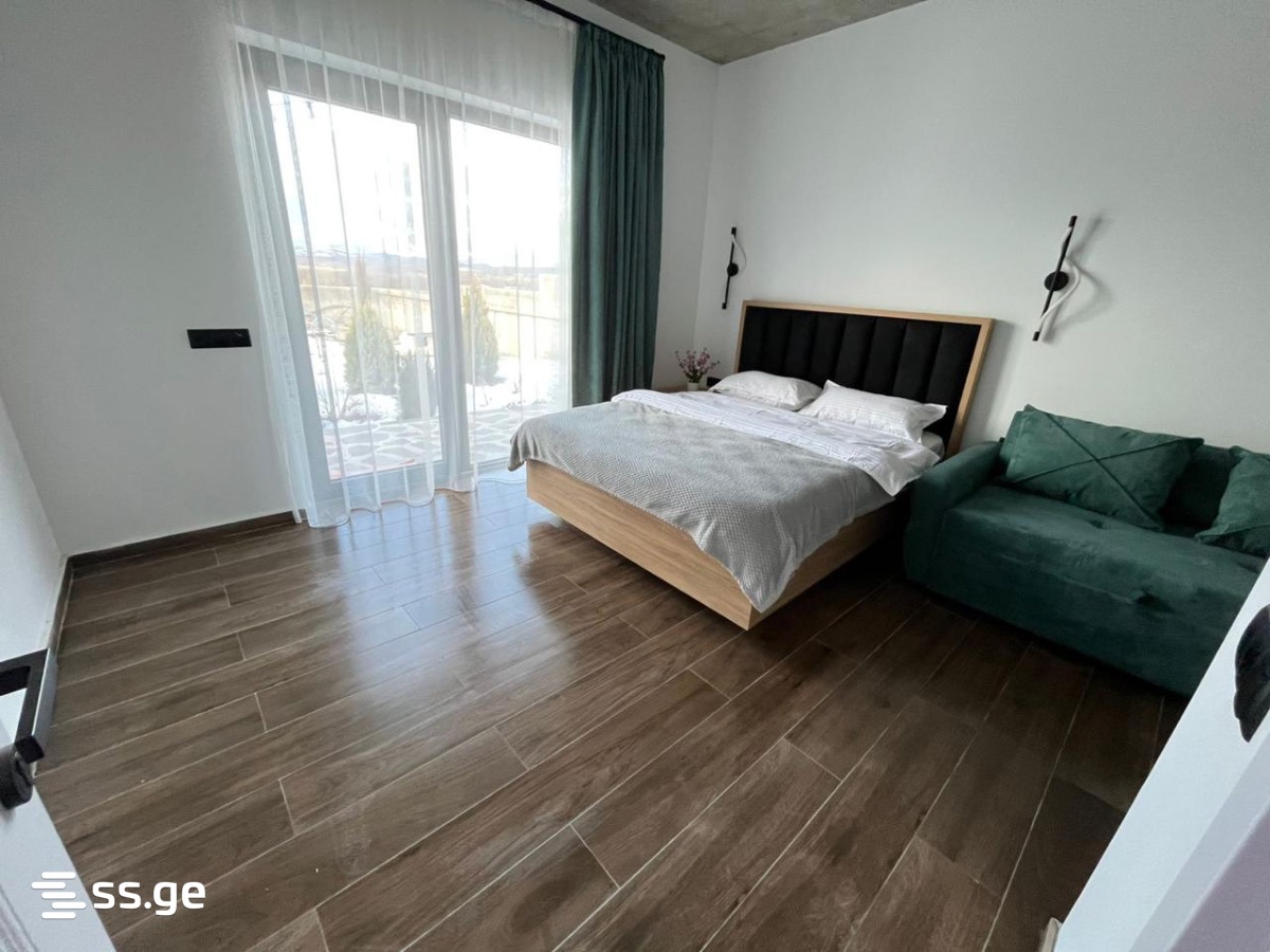 5 Room Private House Daily Rent. Bazaleti view 32