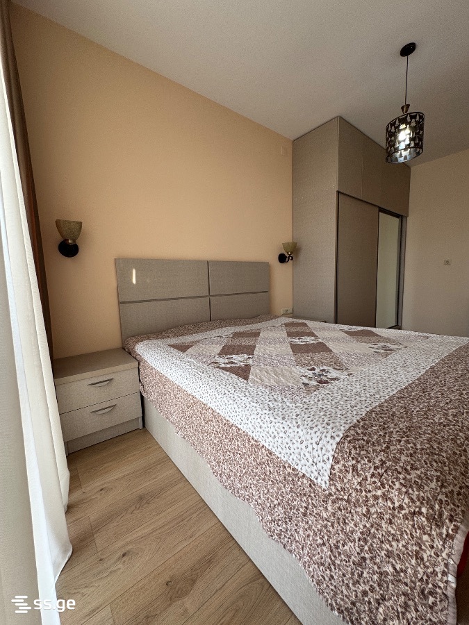 2 Room Flat For Rent. Rustavi view 6
