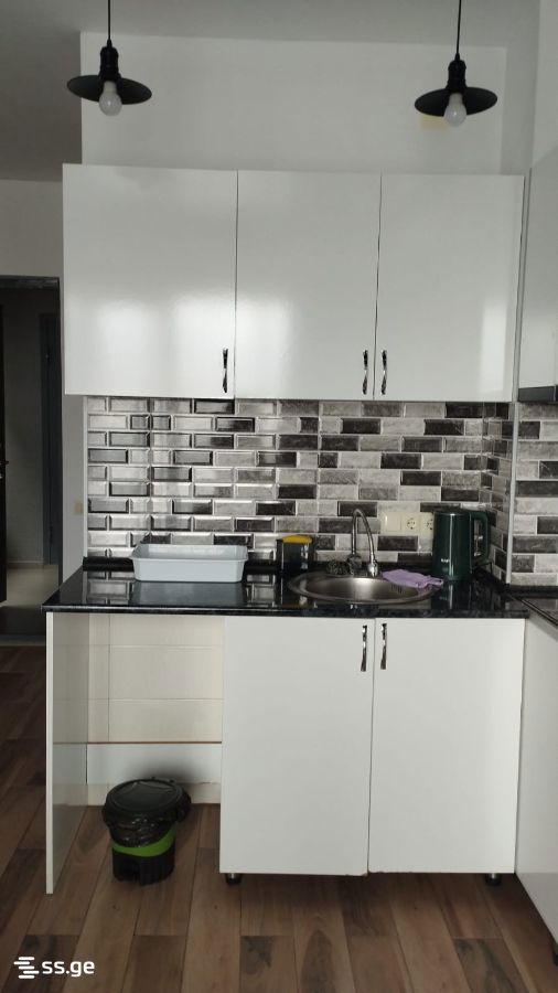 1 Room Flat Daily Rent. Batumi view 13