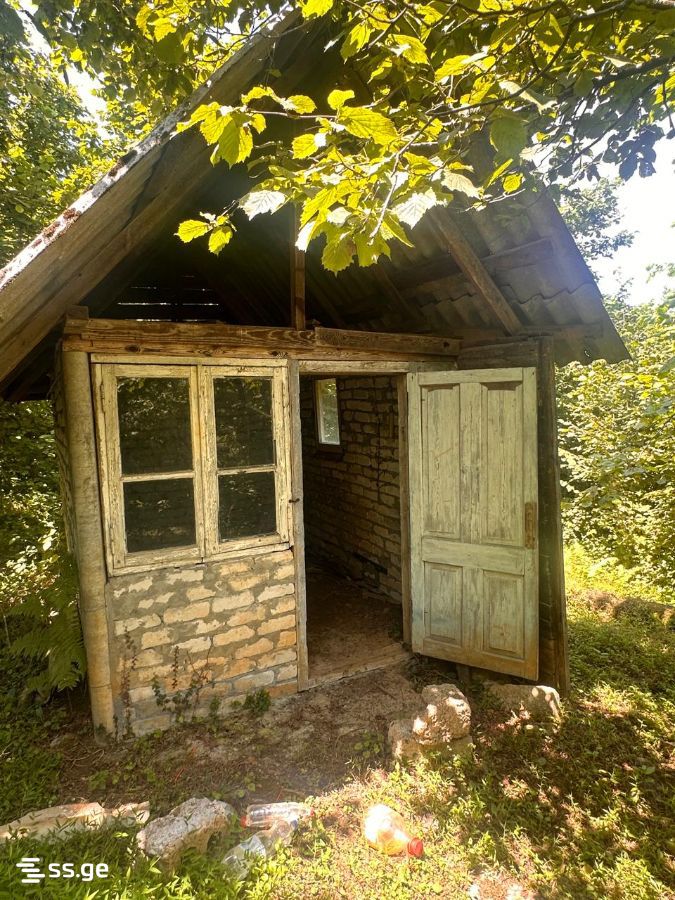 Land For Sale. Ozurgeti view 2
