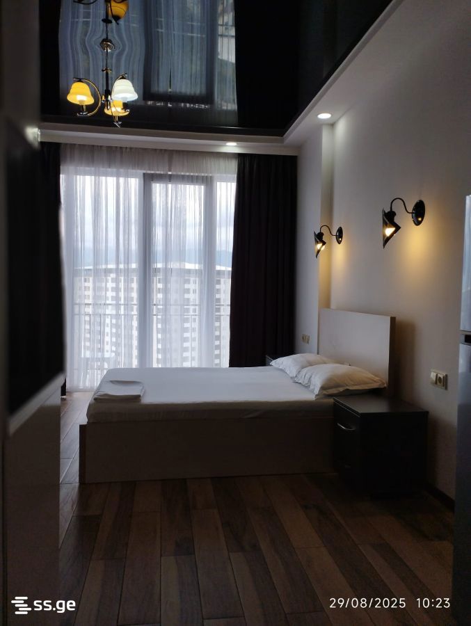 1 Room Flat Daily Rent. Batumi view 8