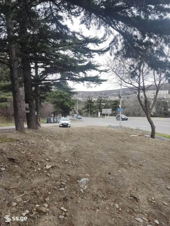 Land For Sale. Didi Digomi view 2