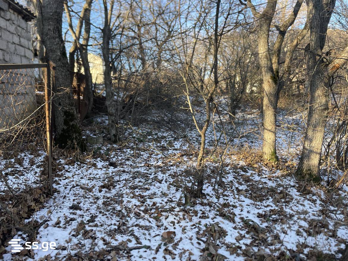 Land For Sale. Mukhattskaro view 3