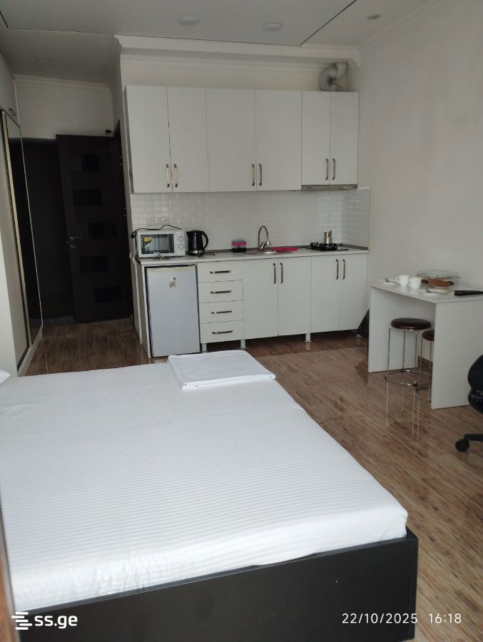 1 Room Flat Daily Rent. Batumi view 2