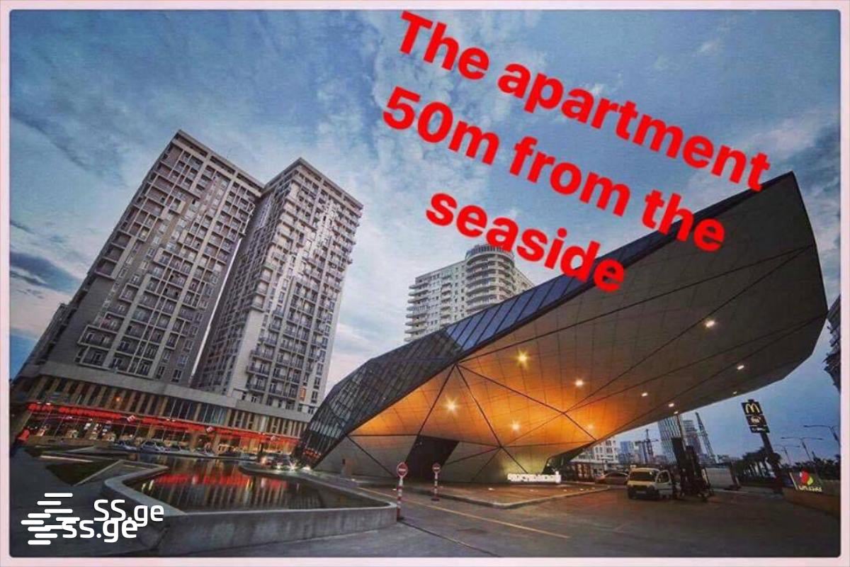 4 Room Flat Daily Rent. Batumi view 11