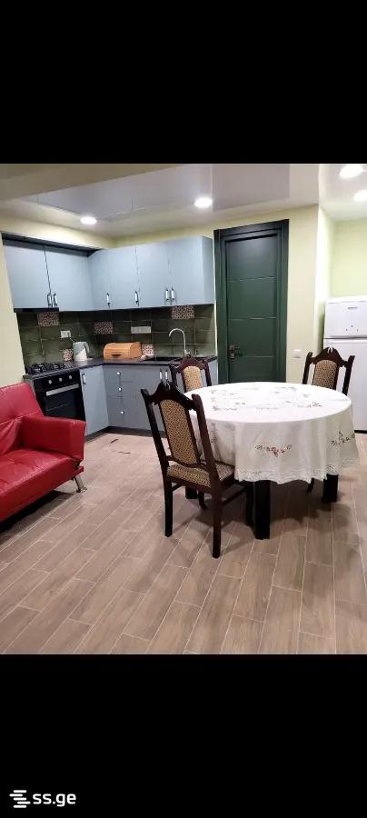 3 Room Private House For Rent. Chugureti view 10