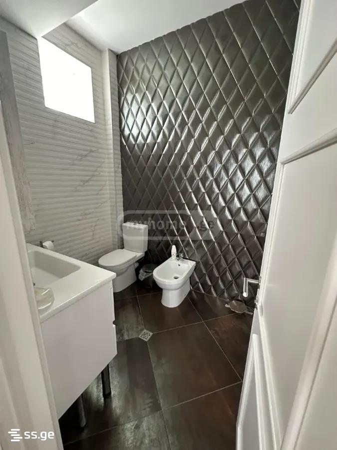 Private House For Rent. Sagarejo view 9