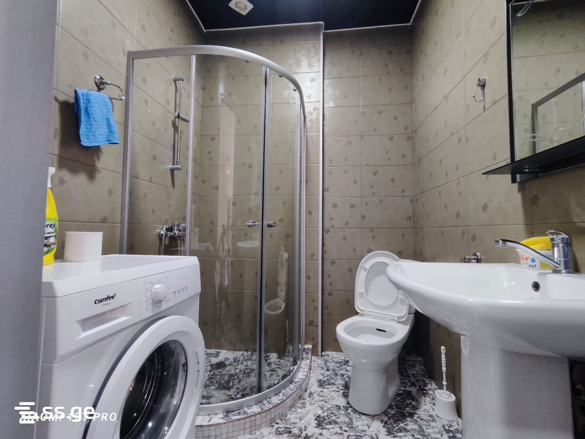 1 Room Flat Daily Rent. Batumi view 12