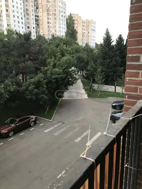 https://static.ss.ge/20260917/2_c783c698-90a4-4407-90e2-09b6155f6dce_Thumb.jpg