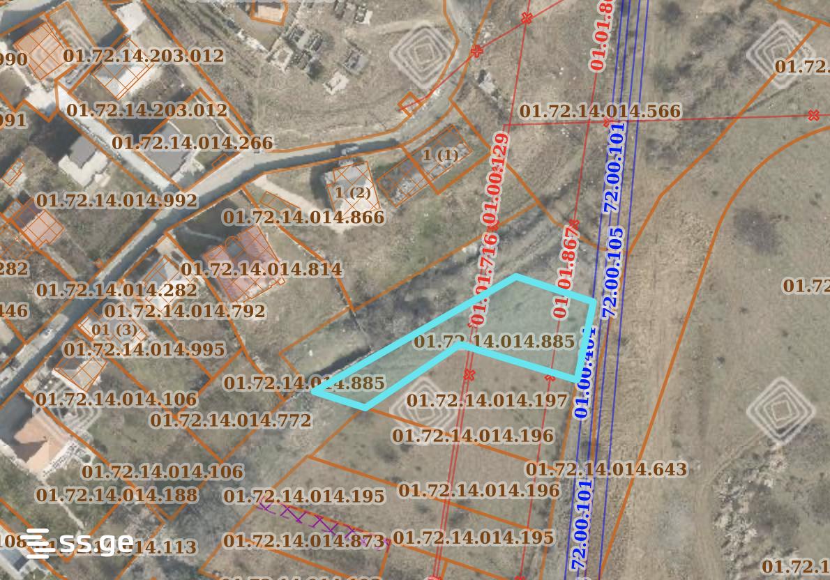 Land For Sale. Didi Digomi view 1