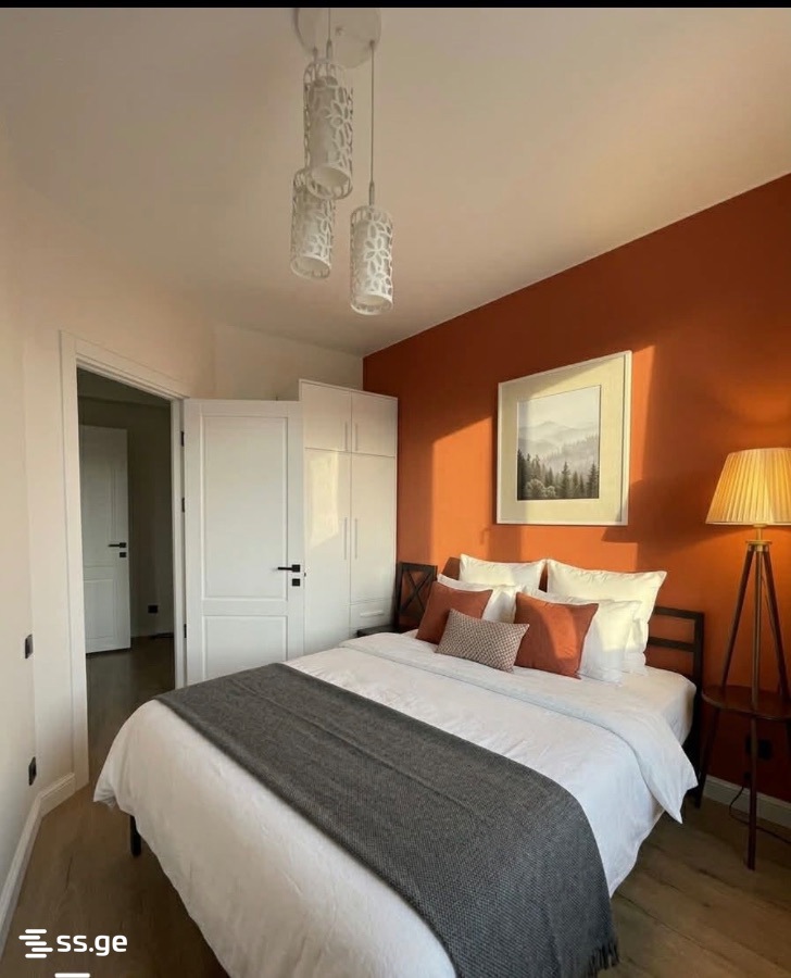 2 Room Flat For Rent. Manglisi view 4