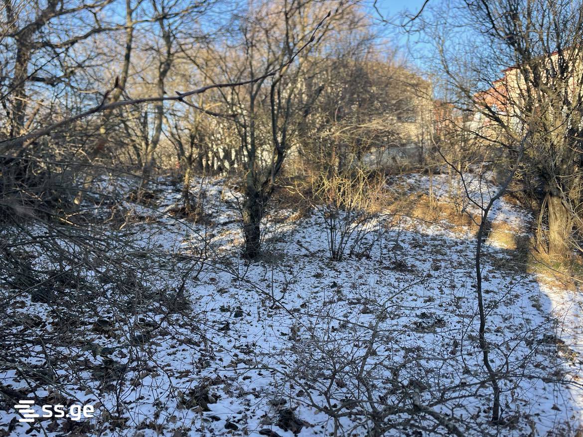 Land For Sale. Mukhattskaro view 5