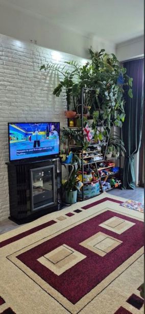 https://static.ss.ge/20260917/7_99cf3b45-3a68-4c1e-8385-c93ea941b19d_Thumb.jpg
