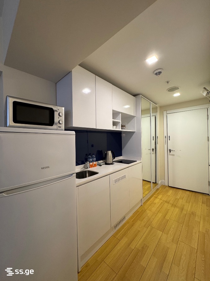 3 Room Flat Daily Rent. Batumi view 6