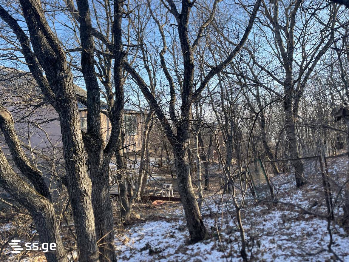 Land For Sale. Mukhattskaro view 7