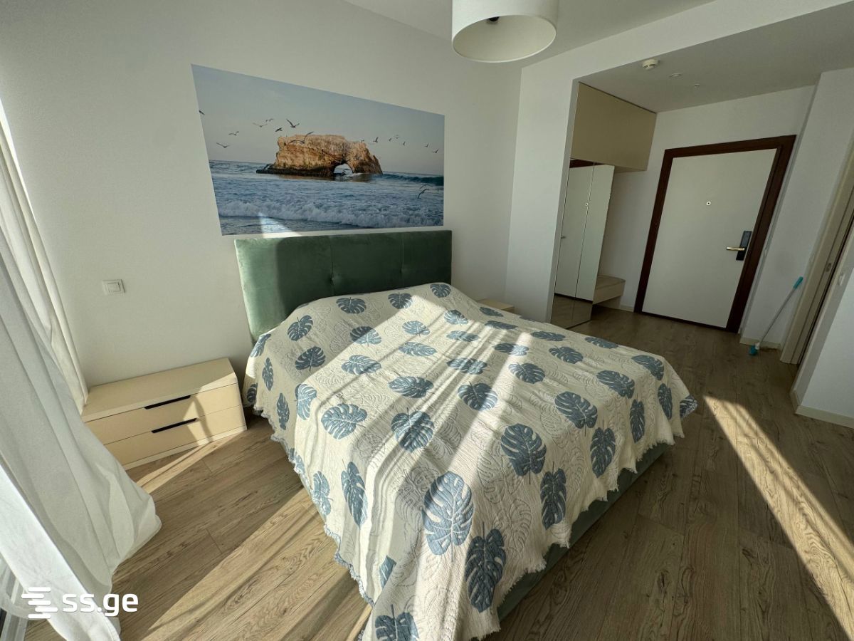 1 Room Flat For Rent. Makhindjauri view 3