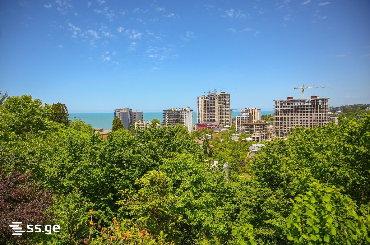 3 Room Private House For Rent. Batumi view 9