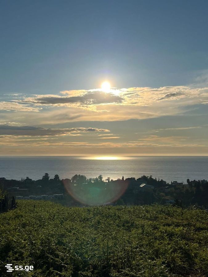Land For Sale. Chaqvi view 3