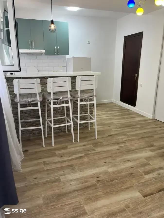 1 Room Private House For Rent. Batumi view 4